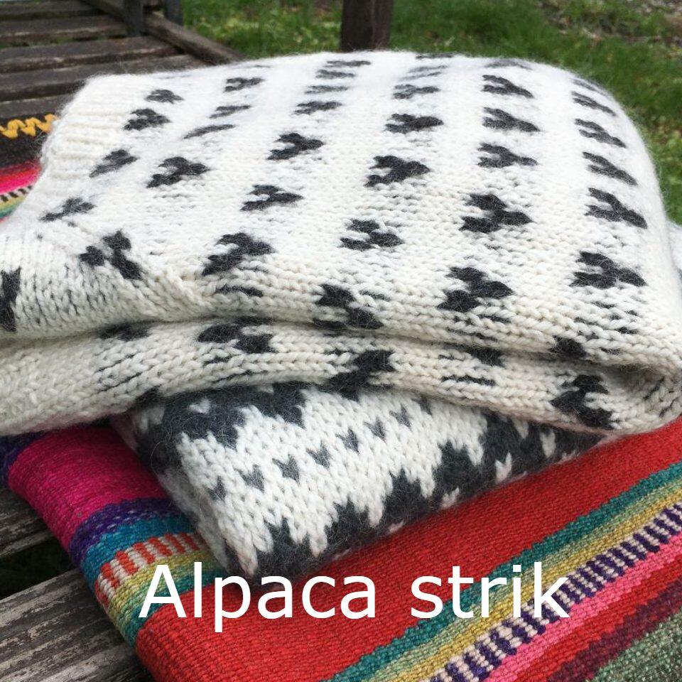 Alletider´s Alpaca strik Alletider´s Alpaca strik
